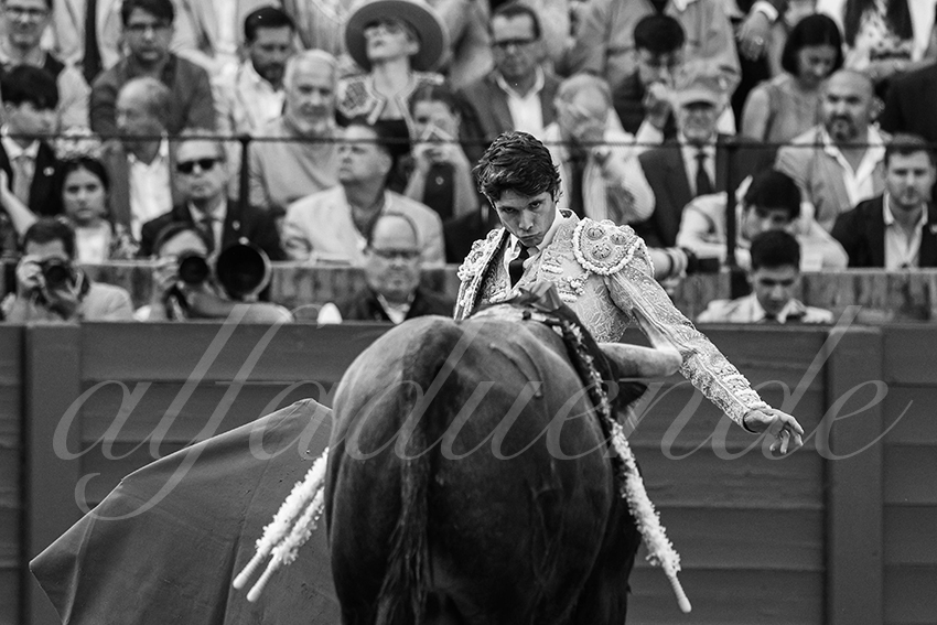 20250508 sevilla 027 fd