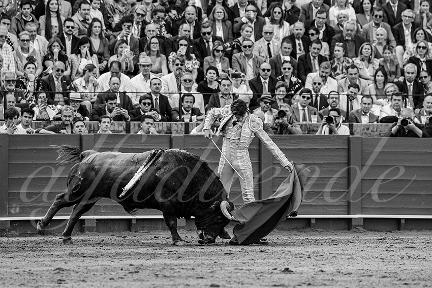 20250508 sevilla 026 fd