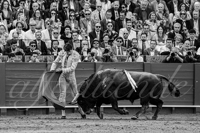 20250508 sevilla 025 fd