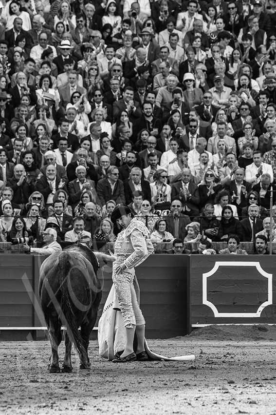 20250508 sevilla 024 fd