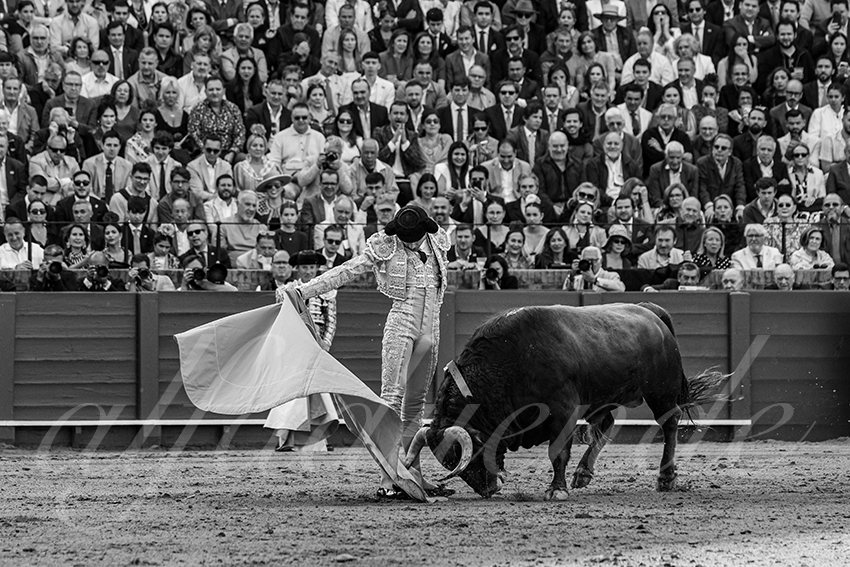 20250508 sevilla 023 fd