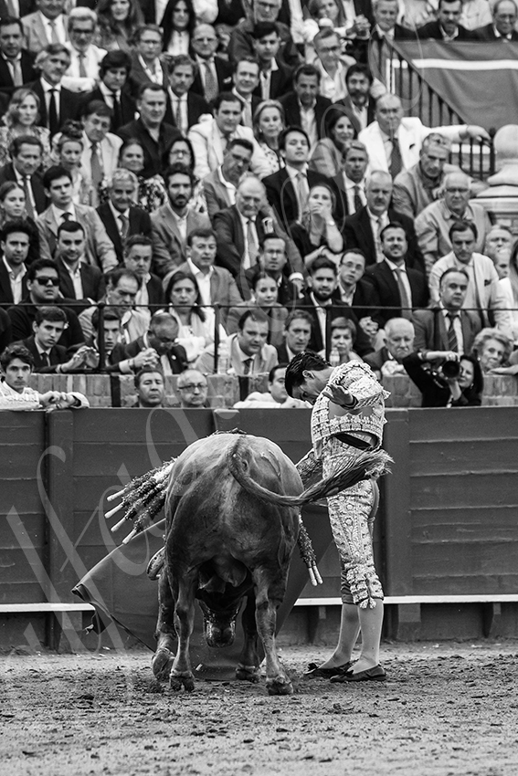 20250508 sevilla 038 fd