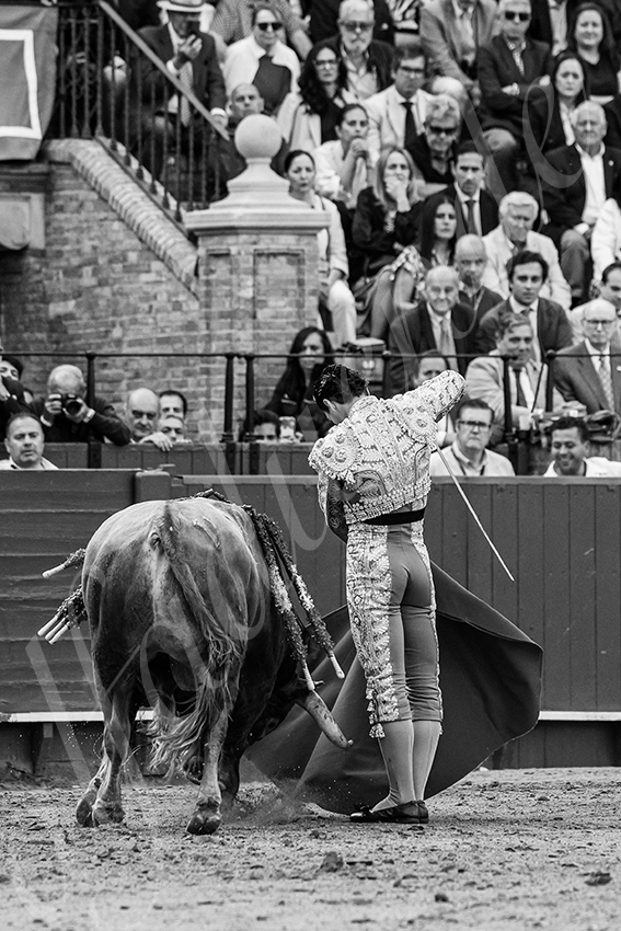 20250508 sevilla 037 fd