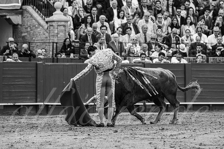 20250508 sevilla 036 fd