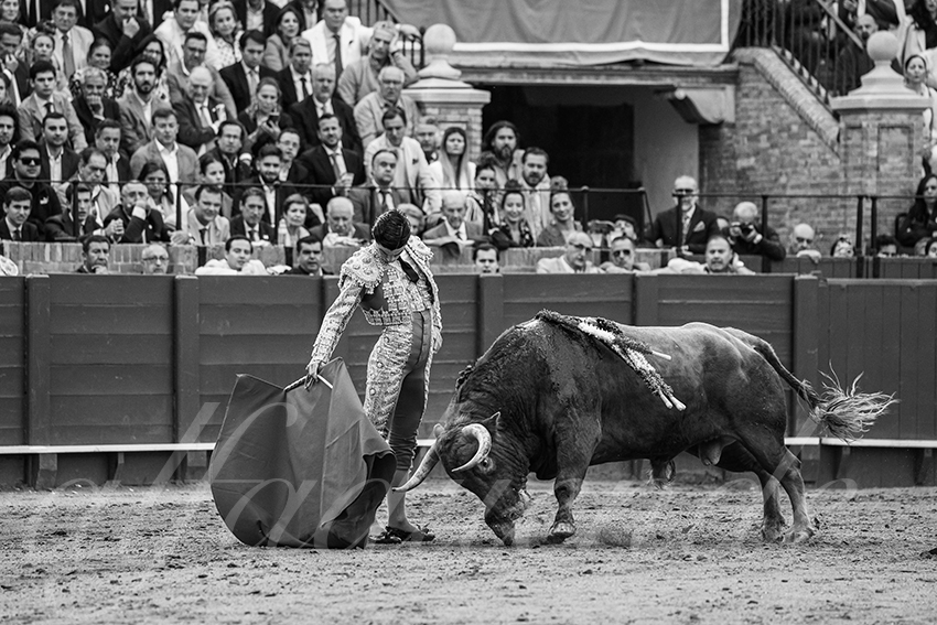 20250508 sevilla 035 fd