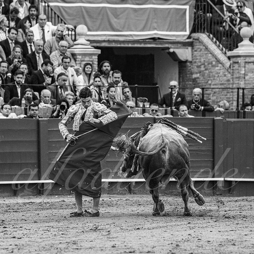 20250508 sevilla 034 fd