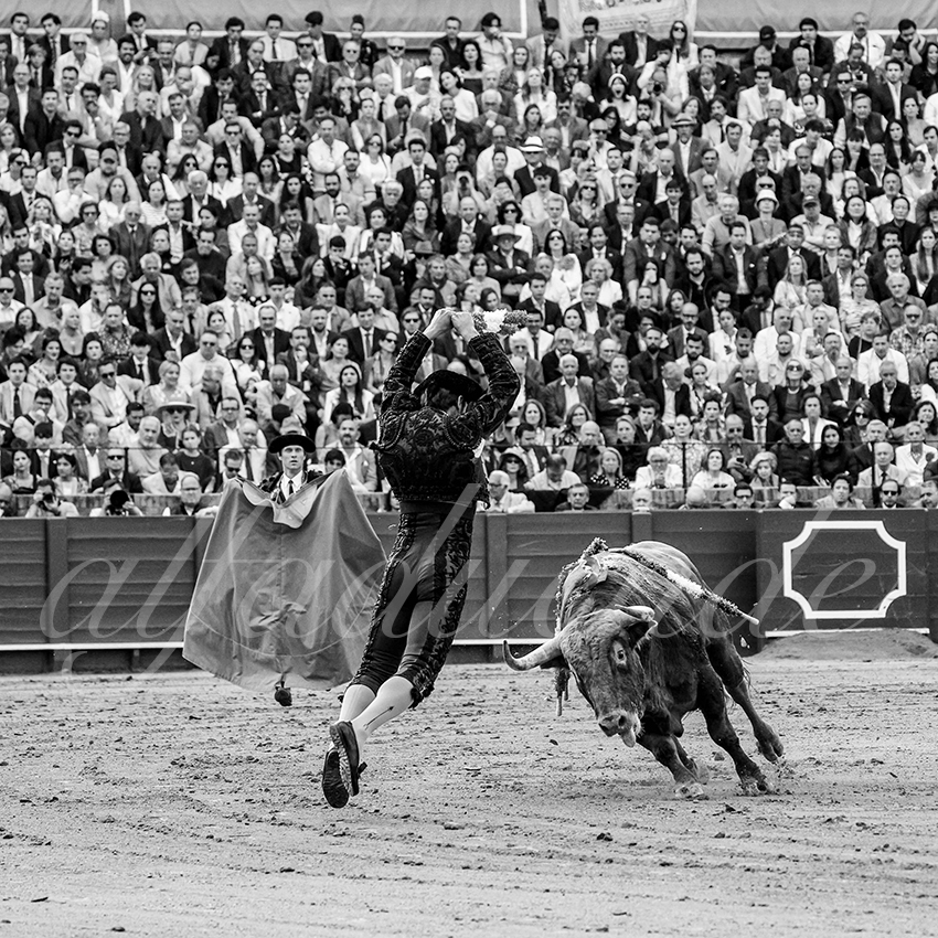 20250508 sevilla cuadrillas 008 copie