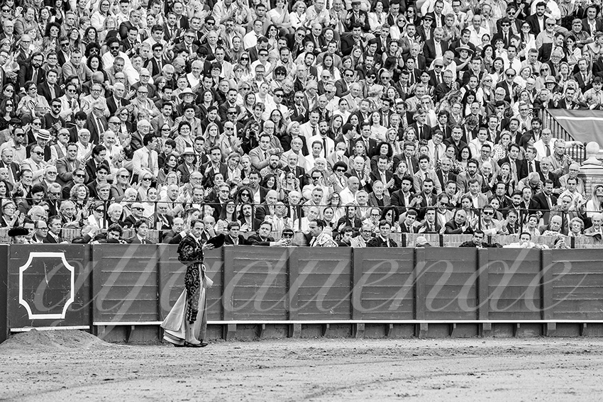 20250508 sevilla cuadrillas 007 copie