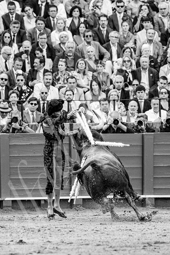 20250508 sevilla cuadrillas 006 copie