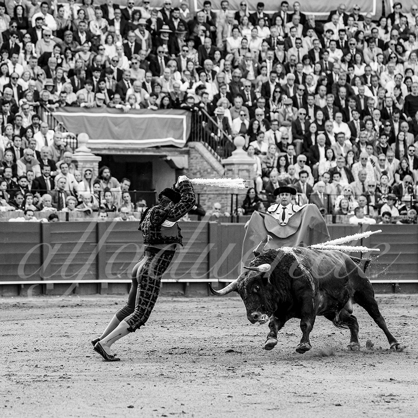 20250508 sevilla cuadrillas 005 copie