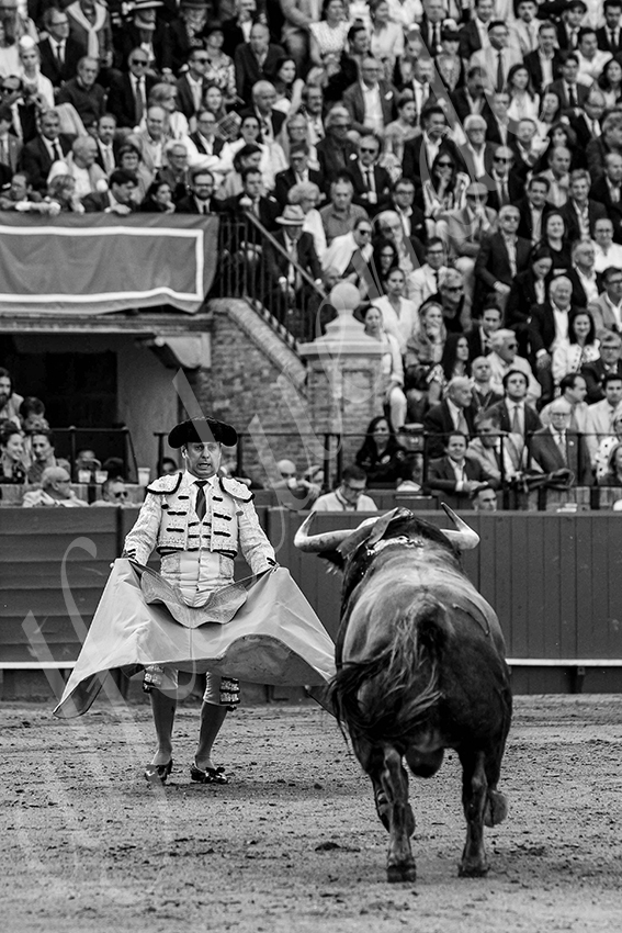 20250508 sevilla cuadrillas 004 copie