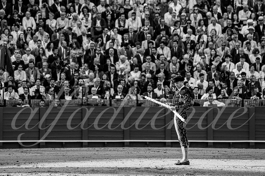 20250508 sevilla cuadrillas 003 copie