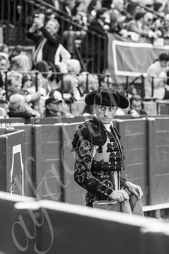 20250508 sevilla cuadrillas 002 copie