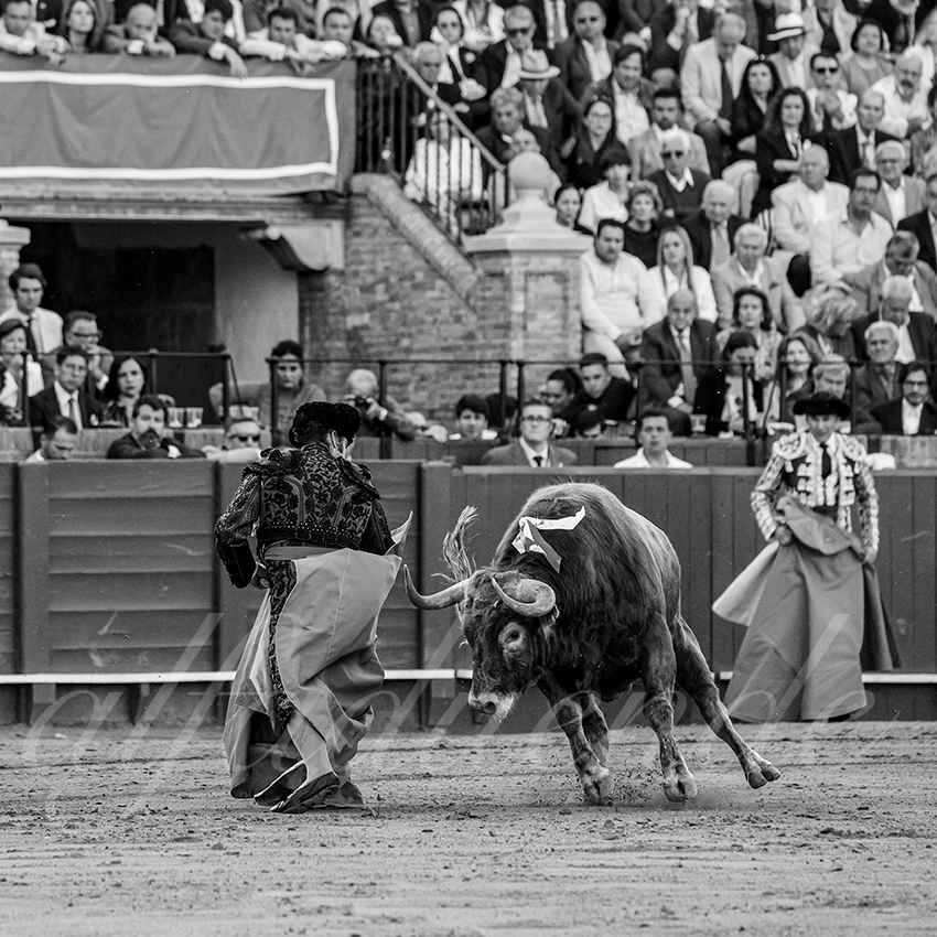 20250509 sevilla 011 fd