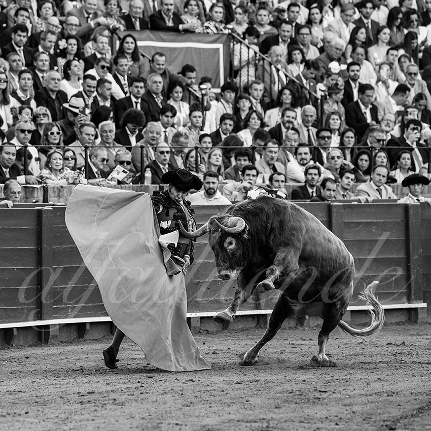 20250509 sevilla 010 fd