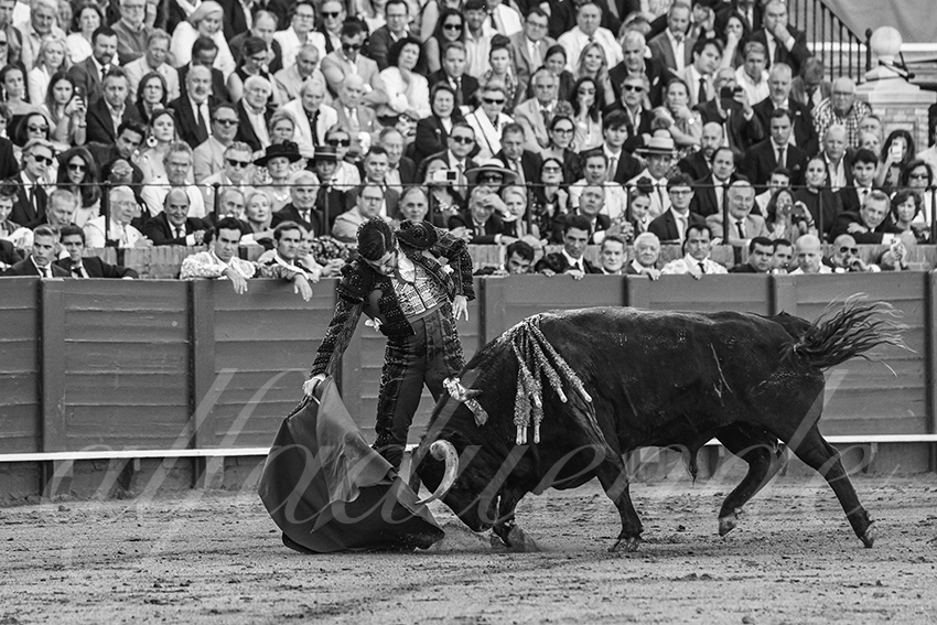 20250509 sevilla 009 fd