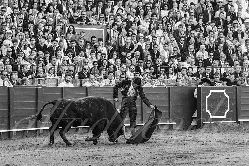 20250509 sevilla 008 fd