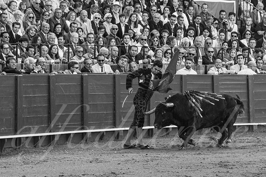 20250509 sevilla 007 fd