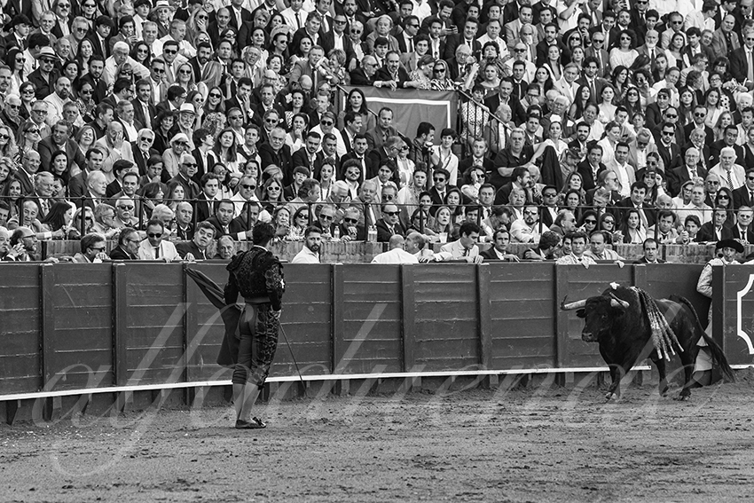 20250509 sevilla 006 fd