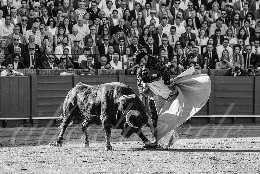 20250509 sevilla 004 fd