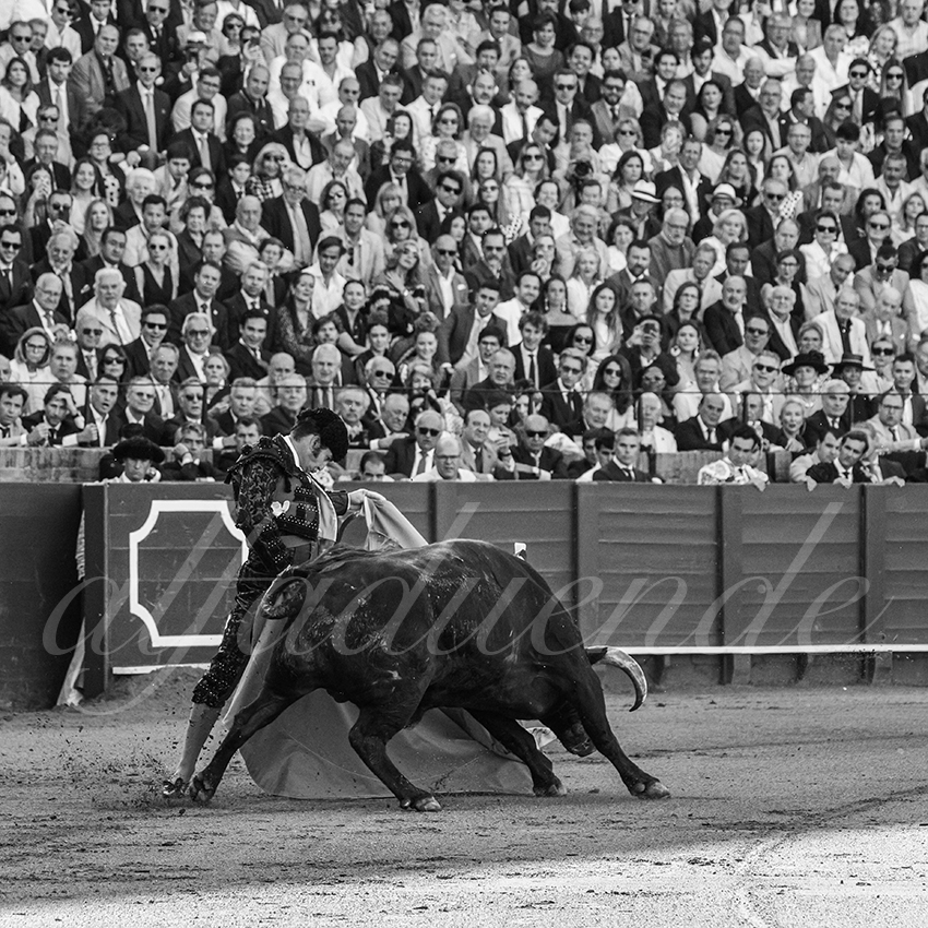 20250509 sevilla 003 fd