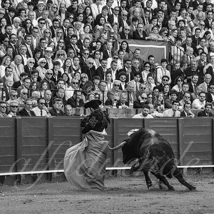 20250509 sevilla 002 fd