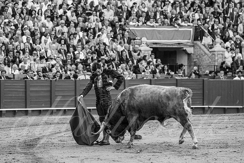 20250509 sevilla 022 fd