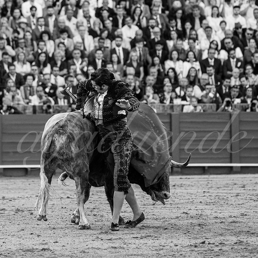 20250509 sevilla 021 fd