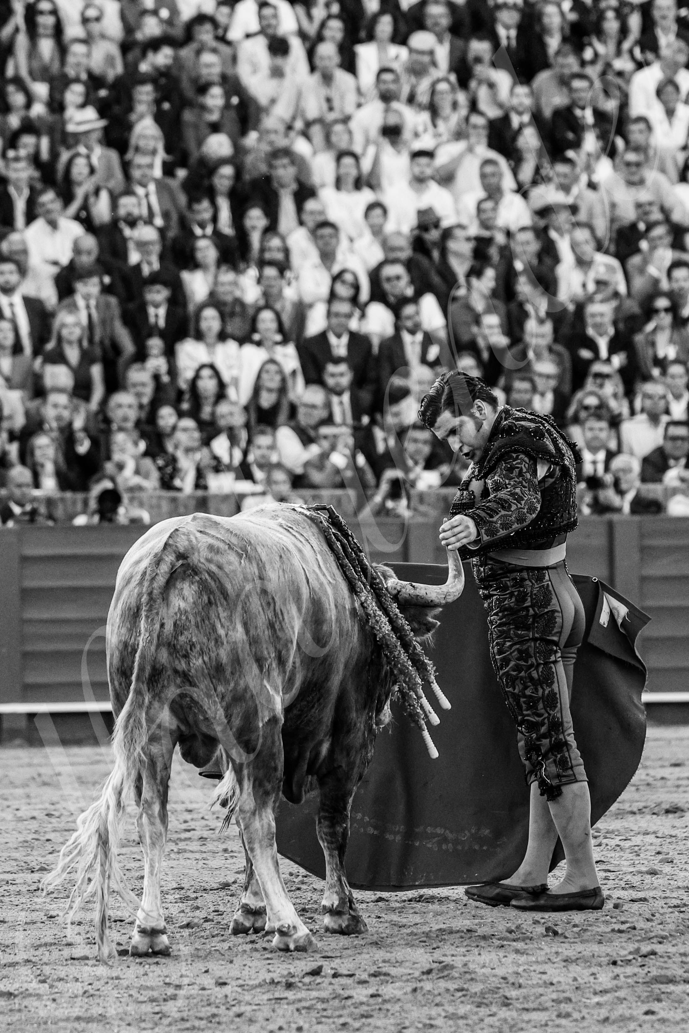 20250509 sevilla 020 fd