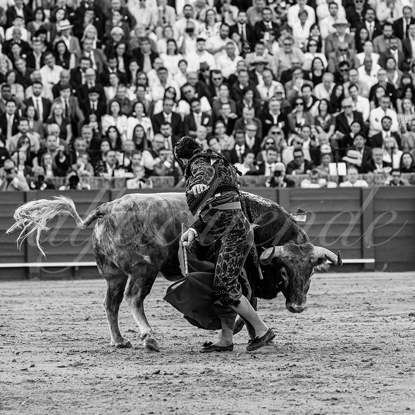 20250509 sevilla 019 fd