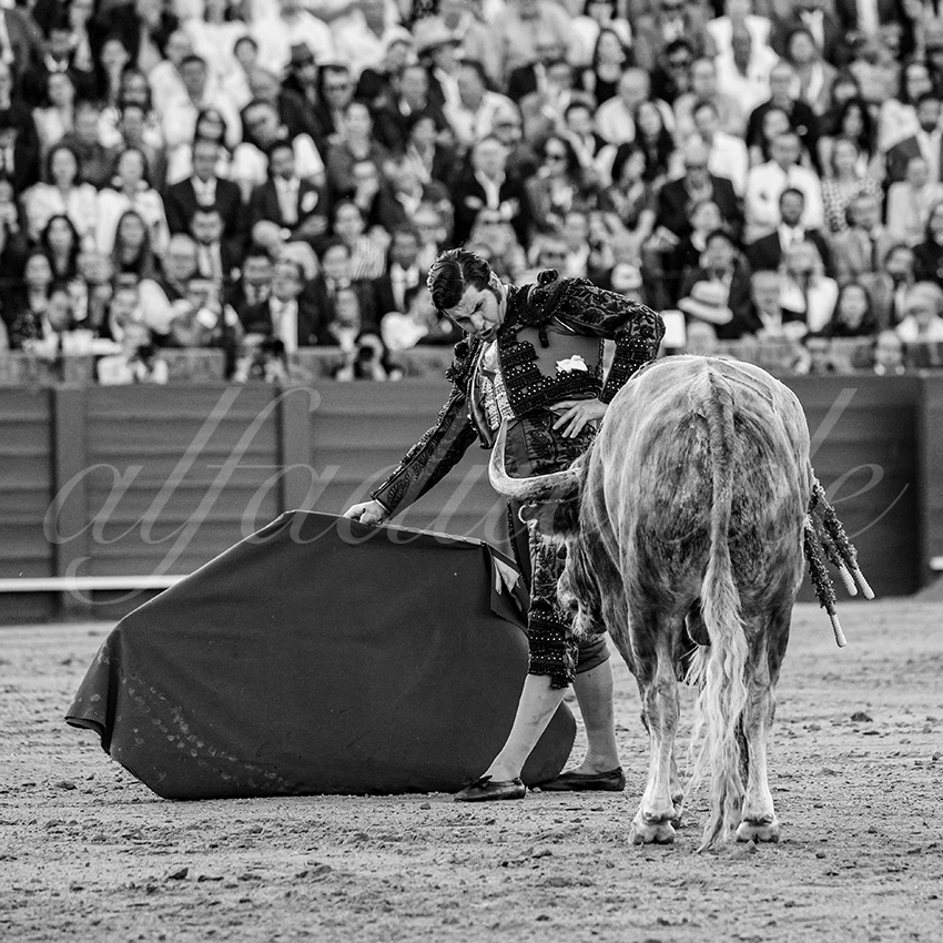 20250509 sevilla 018 fd