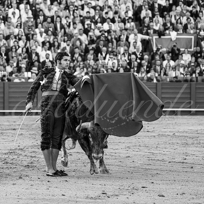 20250509 sevilla 017 fd