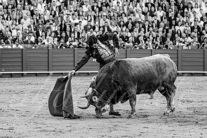 20250509 sevilla 016 fd