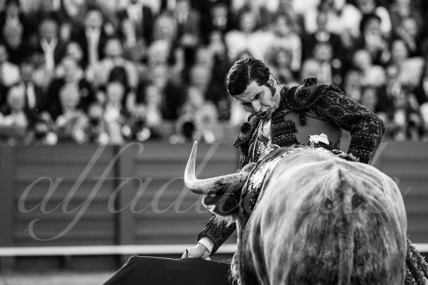 20250509 sevilla 015 fd