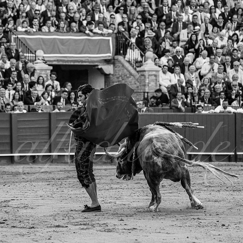 20250509 sevilla 014 fd