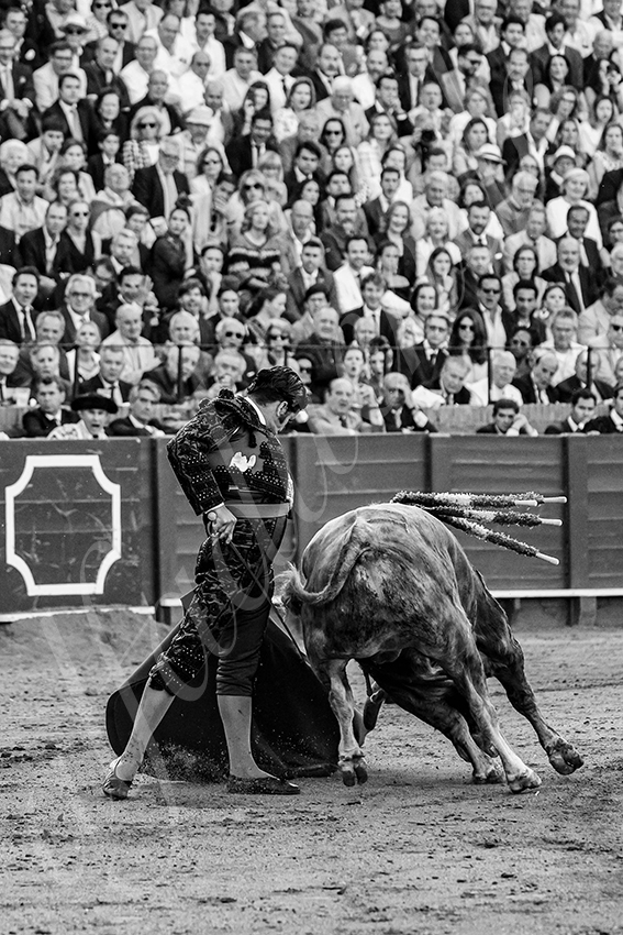 20250509 sevilla 013 fd