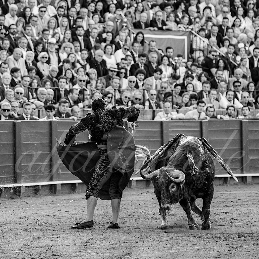 20250509 sevilla 012 fd