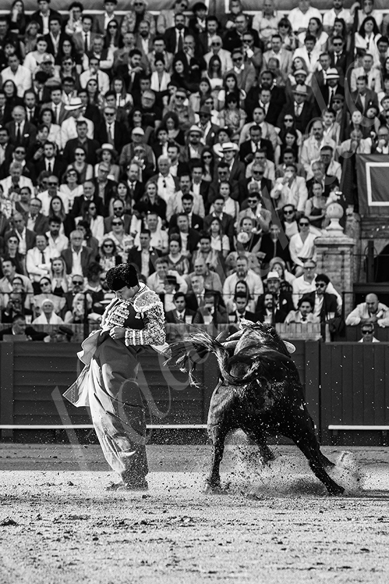 20250509 sevilla 033 fd