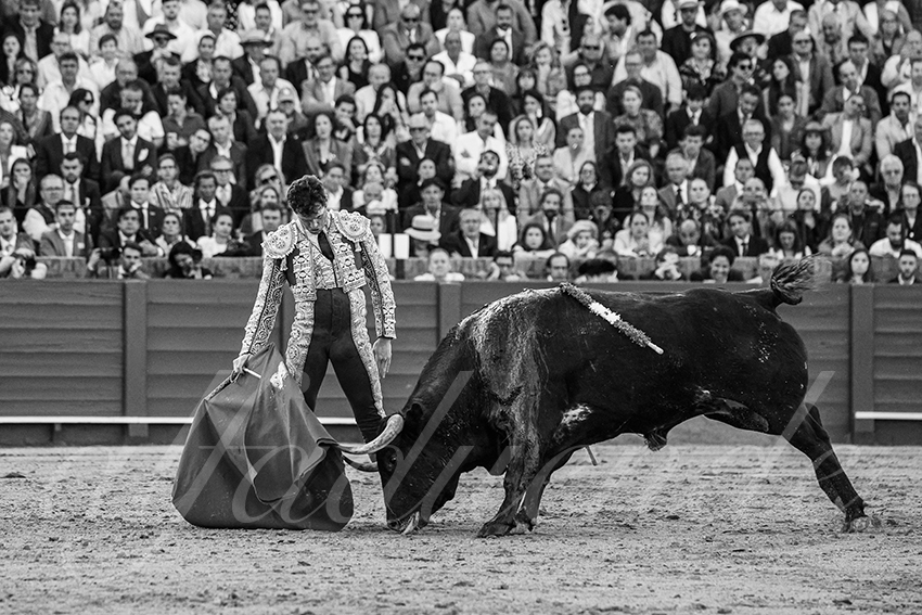 20250509 sevilla 032 fd