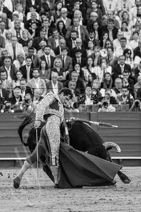 20250509 sevilla 031 fd