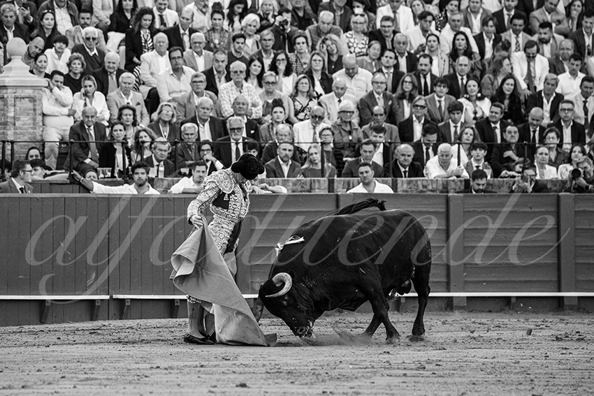 20250509 sevilla 030 fd