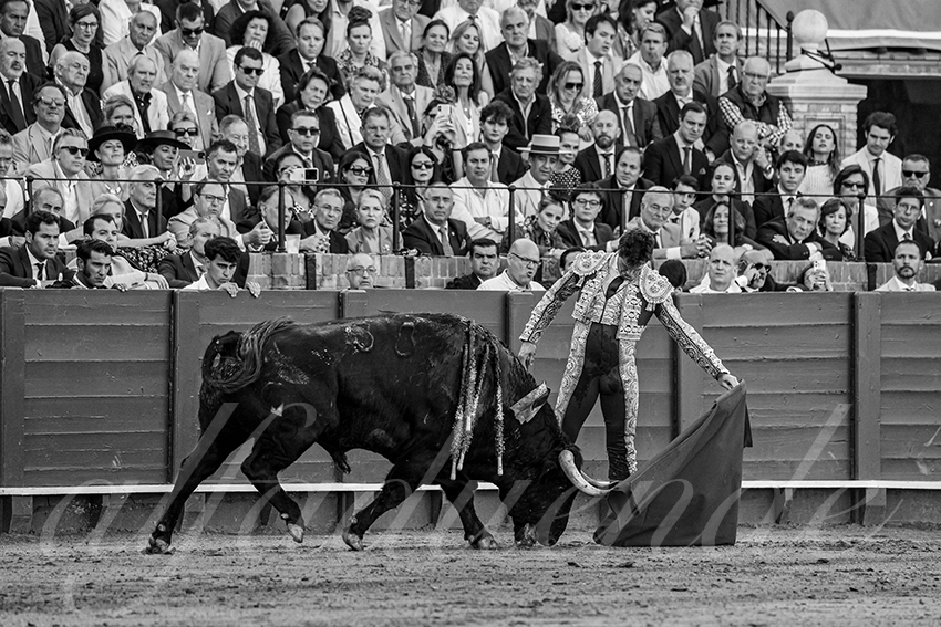 20250509 sevilla 029 fd