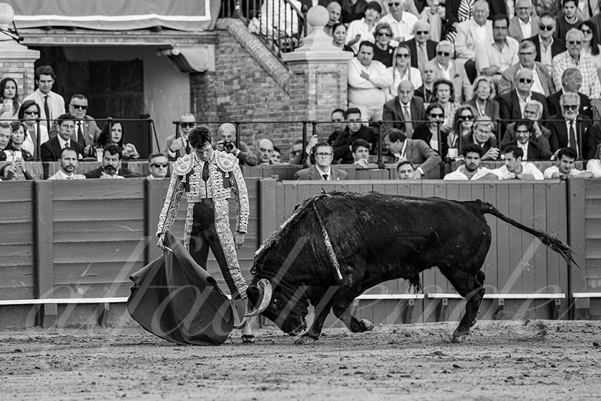 20250509 sevilla 028 fd