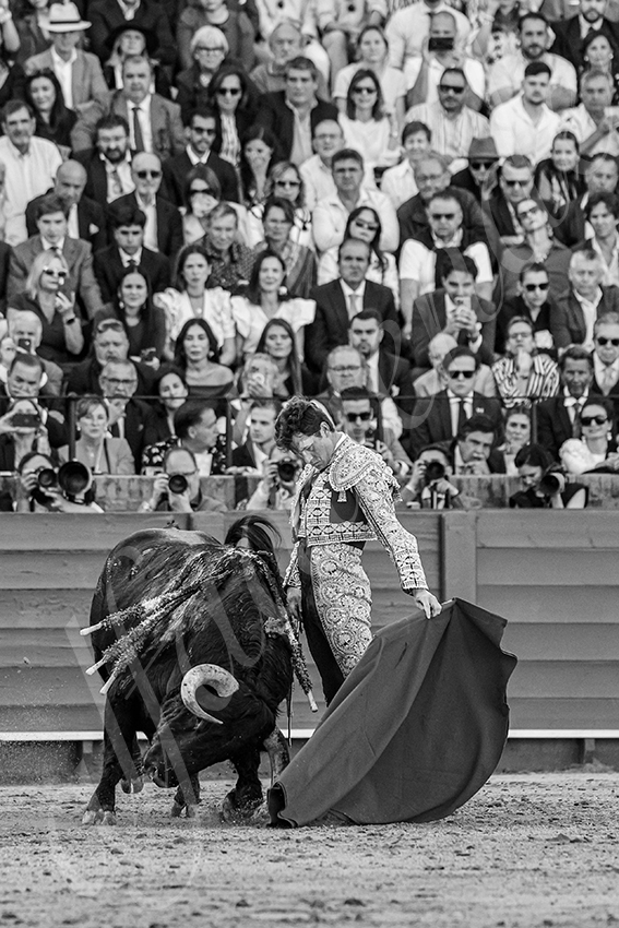 20250509 sevilla 027 fd