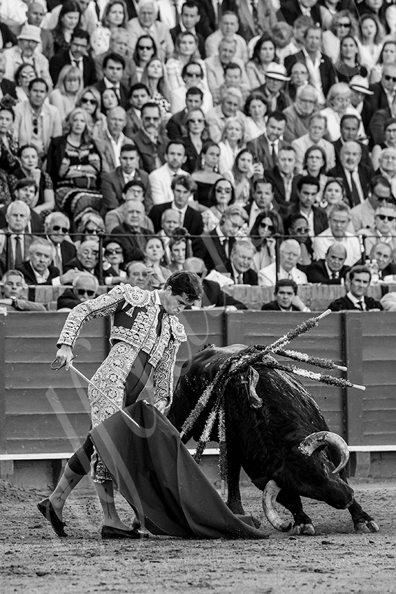 20250509 sevilla 026 fd