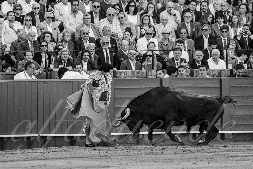 20250509 sevilla 025 fd