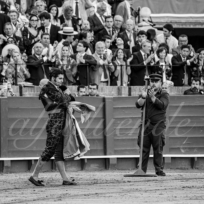 20250509 sevilla 024 fd