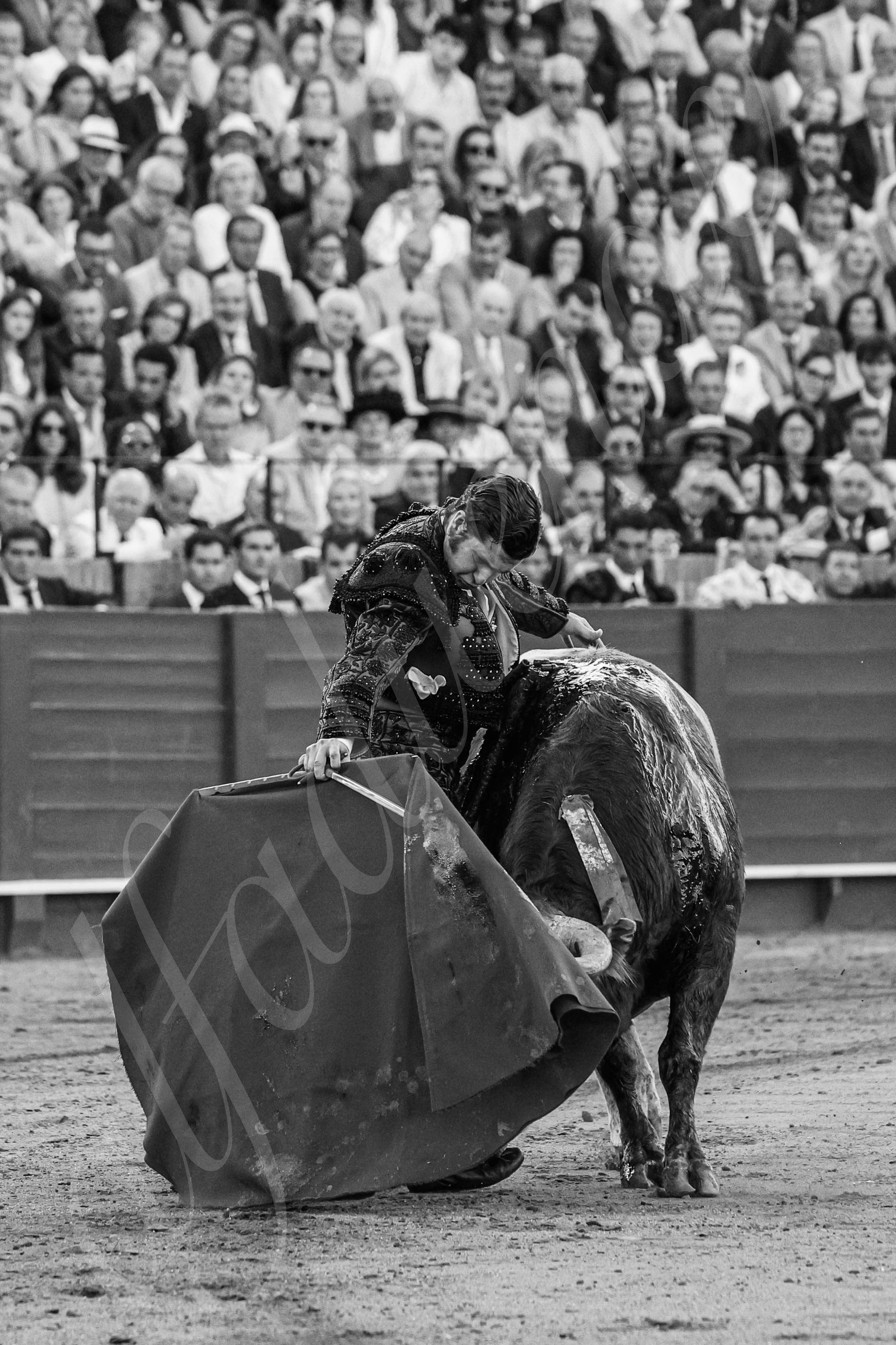 20250509 sevilla 023 fd