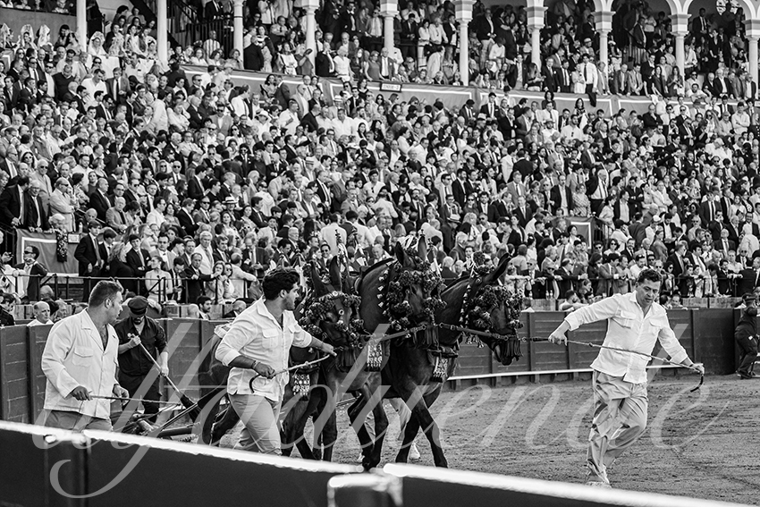 20250509 sevilla 044 fd