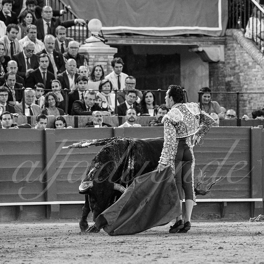 20250509 sevilla 043 fd